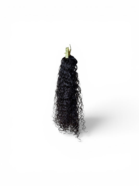 Raw Burmese Curl